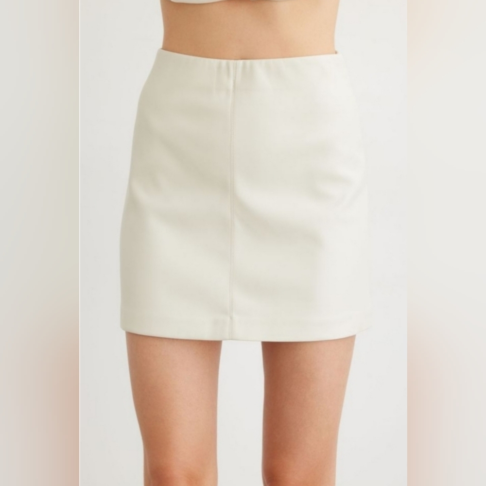 Dynamite Susie Mini Skirt